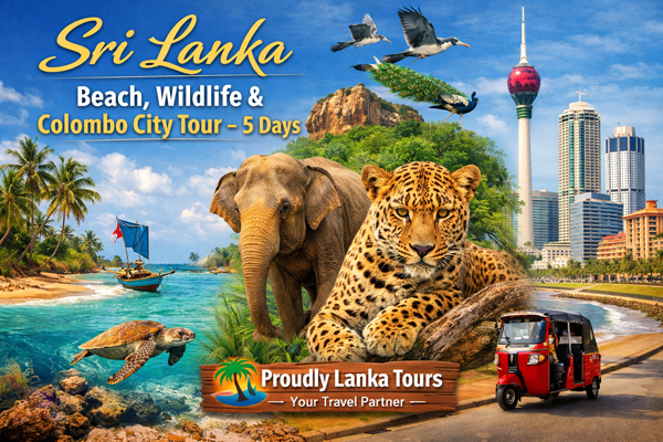 Explore Sri Lanka in 5 days